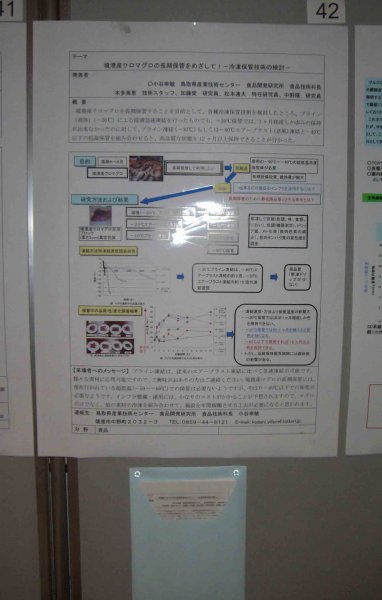 境港産クロマグロの長期保管をめざして！」